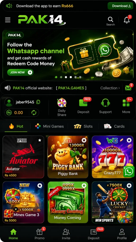 Pak14 Game