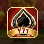Y71 Game